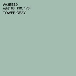 #A3BEB0 - Tower Gray Color Image